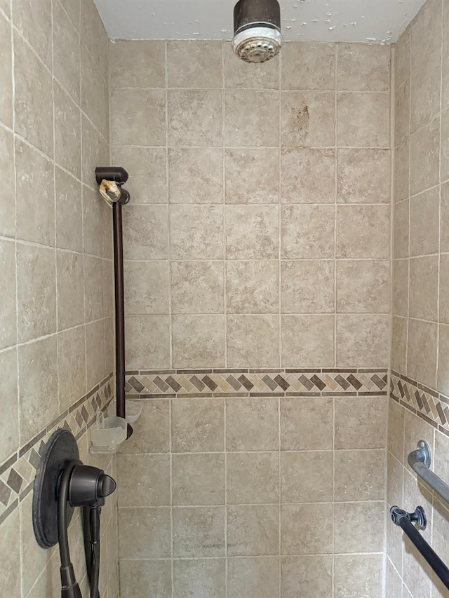 1 Meadow Dr Unit 3D, Woodmere, NY 11598 - bathroom view of tiled shower