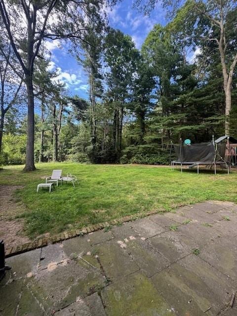 7 Beaumont Dr, Melville, NY 11747 - photo 12
