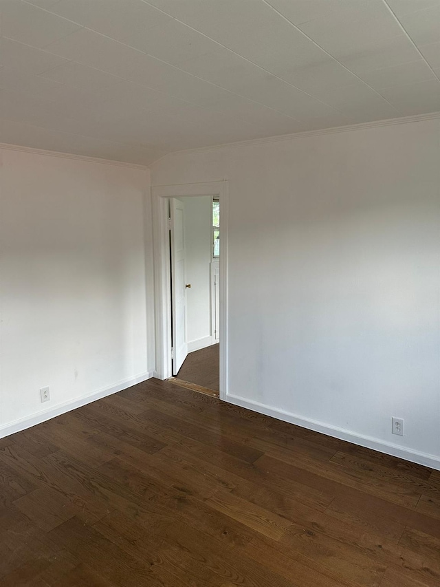 410 Thieriot Ave, Bronx, NY 10473 - photo 9