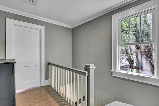 113 Scudder Pl, Northport, NY 11768 - photo 18