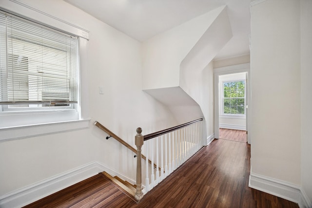 1639 Hone Ave, Bronx, NY 10461 - stairs featuring wood finished floors and baseboards