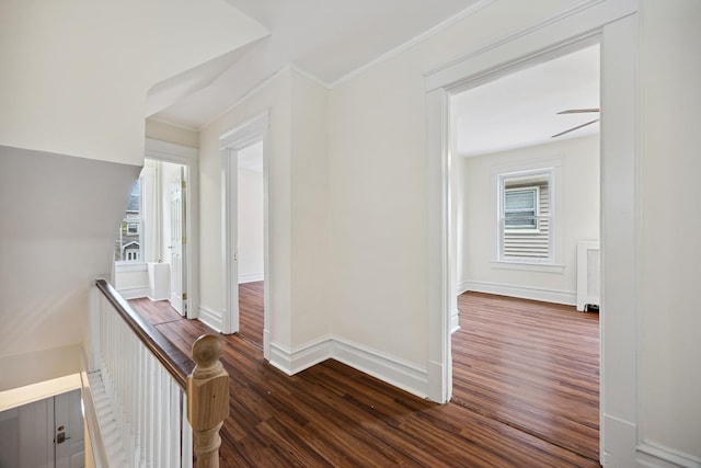 1639 Hone Ave, Bronx, NY 10461 - corridor featuring dark wood-style flooring and ornamental molding