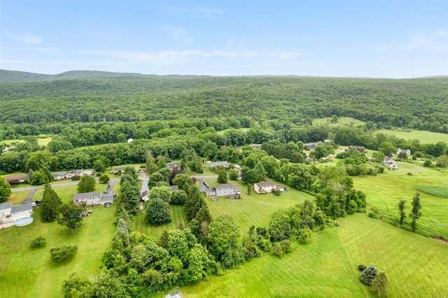 108 Beyer Dr, Poughquag, NY 12570 - photo 35
