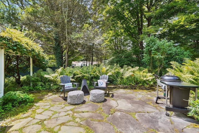 171 Wood St, Mahopac, NY 10541 - photo 29