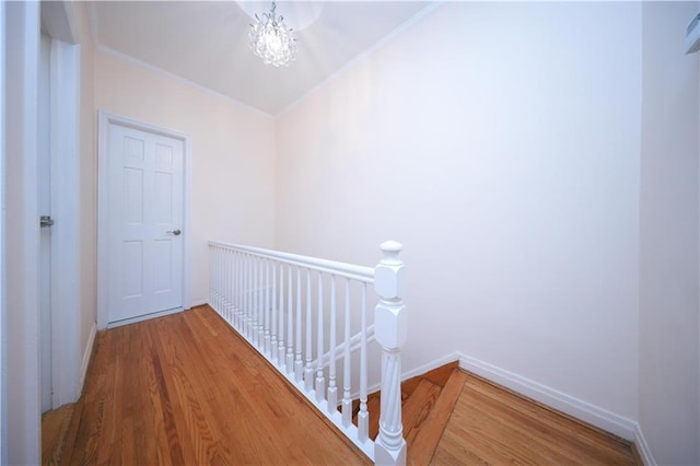 2129 E 27th St, Brooklyn, NY 11229 - photo 16