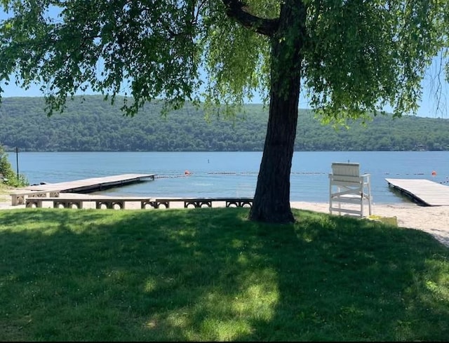 56 Indian Trl, Greenwood Lake, NY 10925 - photo 32