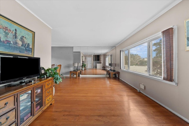 159 Branch Ave, Freeport, NY 11520 - living room featuring ornamental molding and wood finished floors