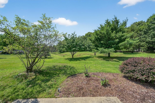 5 Cornwall Ln, Middletown, NY 10940 - photo 33