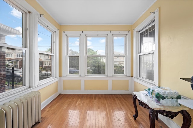 966 E 42nd St, Brooklyn, NY 11210 - sunroom / solarium featuring radiator heating unit, hardwood / wood-style floors, and ornamental molding