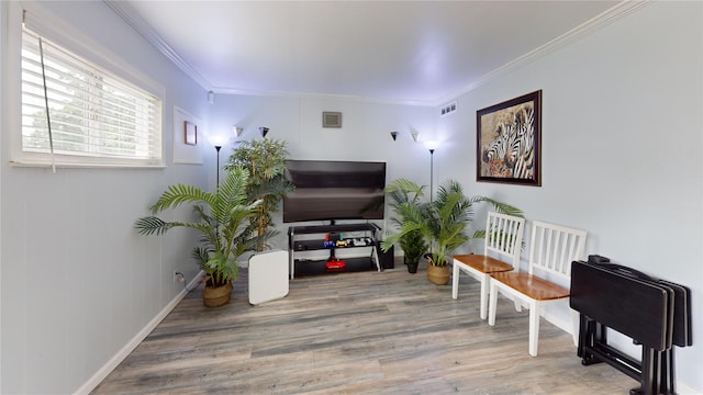 45 Tamarack St, Central Islip, NY 11722 - living area with wood finished floors and ornamental molding