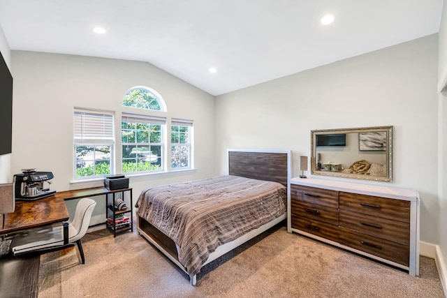 5 Clematis Ct, Lake Grove, NY 11755 - photo 40
