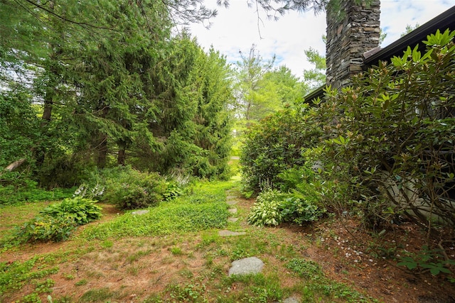 844 Salt Point Tpke, Pleasant Valley, NY 12601 - view of yard