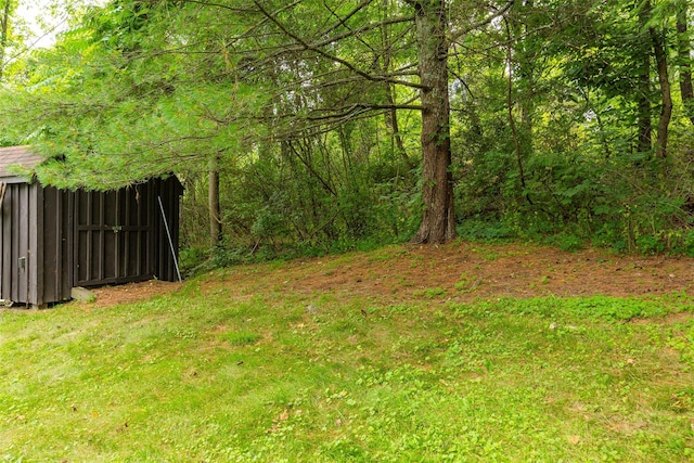 844 Salt Point Tpke, Pleasant Valley, NY 12601 - view of yard featuring a wooded view and a storage unit