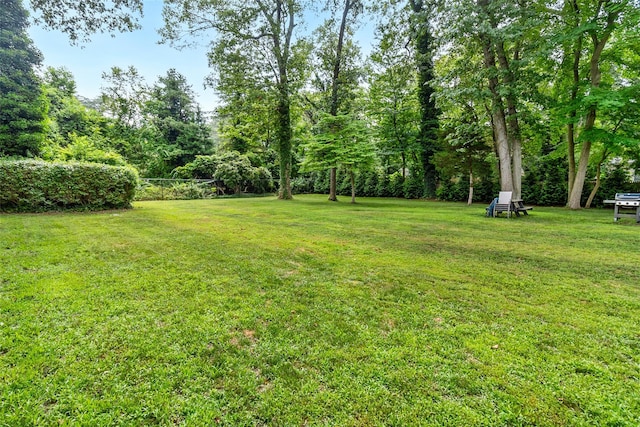 12 Greentree Ct, Northport, NY 11768 - view of green lawn