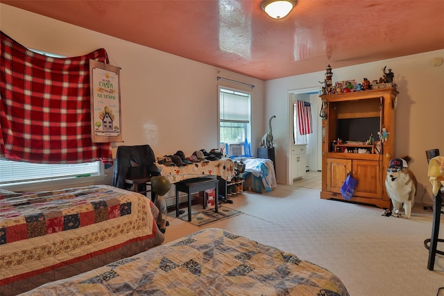 22 Indian Ave, Flanders, NY 11901 - view of carpeted bedroom