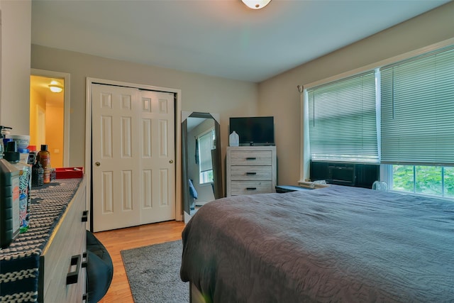 22 Indian Ave, Flanders, NY 11901 - bedroom with light wood finished floors, a closet, and cooling unit