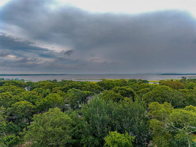 22 Indian Ave, Flanders, NY 11901 - bird's eye view of a large body of water and a forest