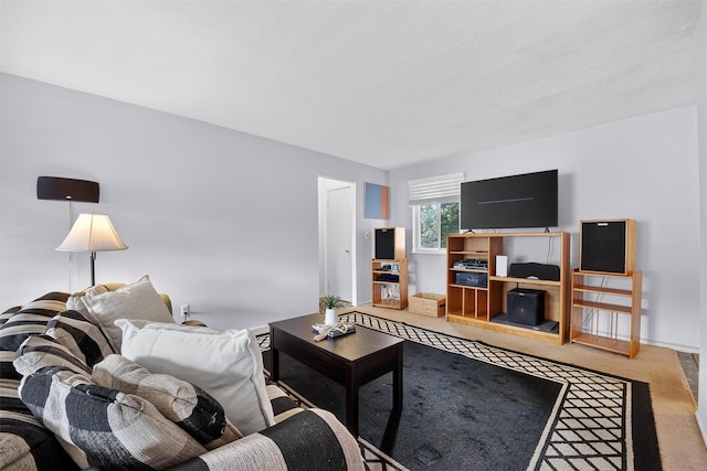 17 Village Park Dr Unit 3A, Fishkill, NY 12524 - view of carpeted living room