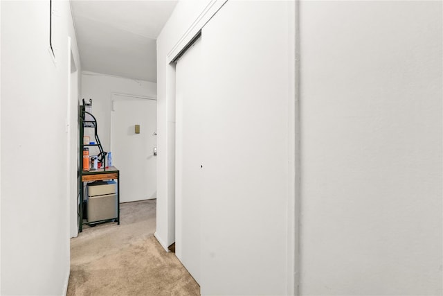 175 Archer St Unit 3A, Freeport, NY 11520 - corridor with light carpet