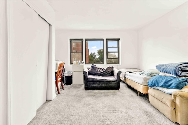 175 Archer St Unit 3A, Freeport, NY 11520 - bedroom with carpet floors