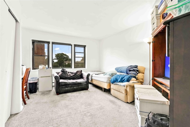 175 Archer St Unit 3A, Freeport, NY 11520 - view of carpeted bedroom