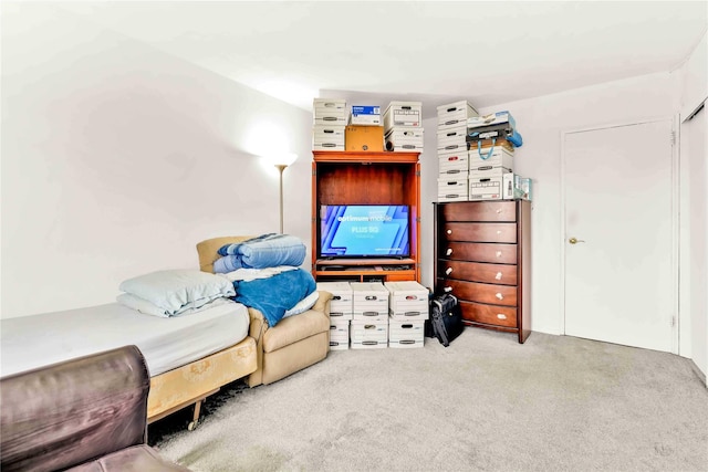175 Archer St Unit 3A, Freeport, NY 11520 - sitting room with carpet flooring