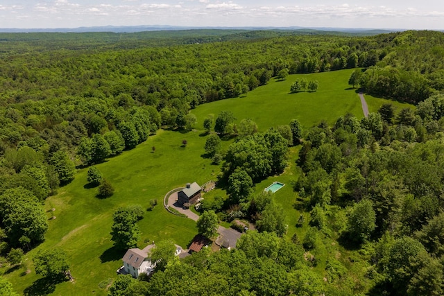 581 Gayhead Earlton Rd, Greenville, NY 12083 - photo 31