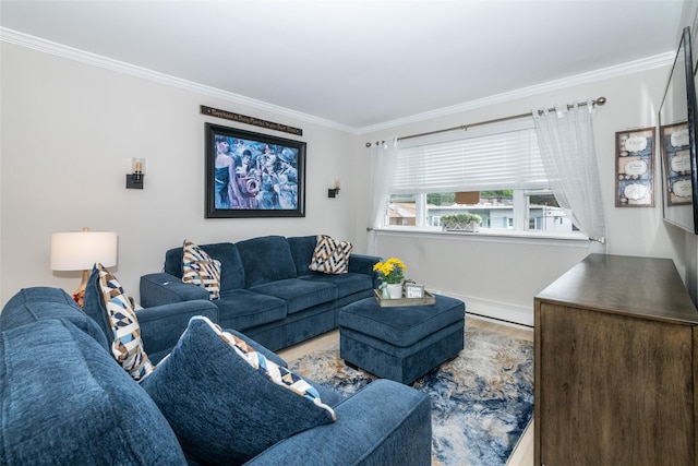 2549 Hollers Ave, Bronx, NY 10475 - photo 8