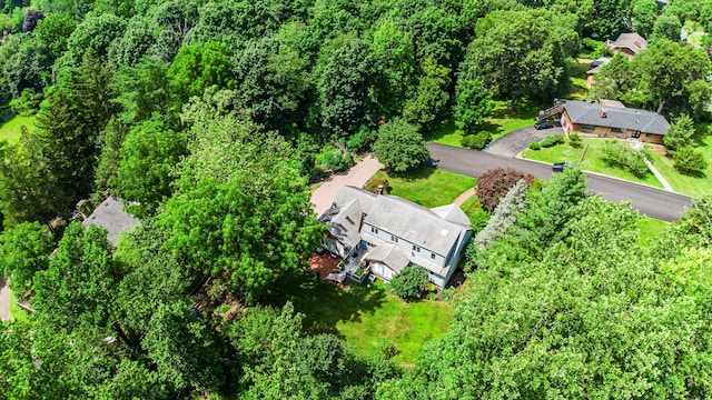 11 Hillside Ct, Suffern, NY 10901 - photo 38