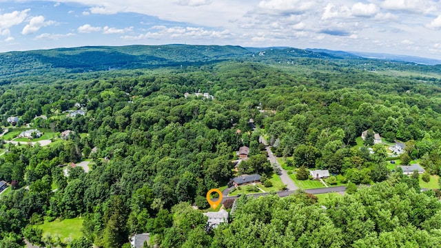 11 Hillside Ct, Suffern, NY 10901 - photo 40