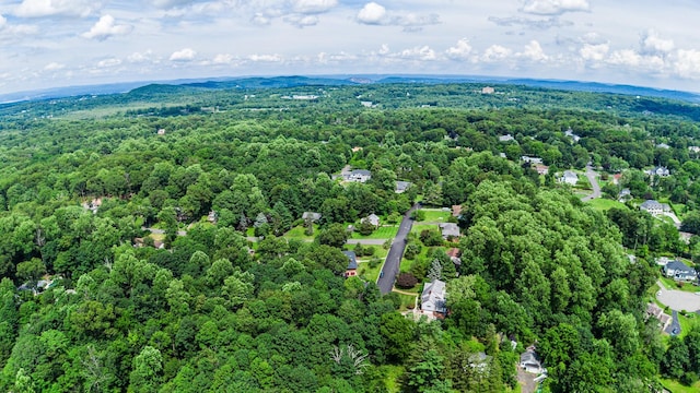 11 Hillside Ct, Suffern, NY 10901 - photo 41