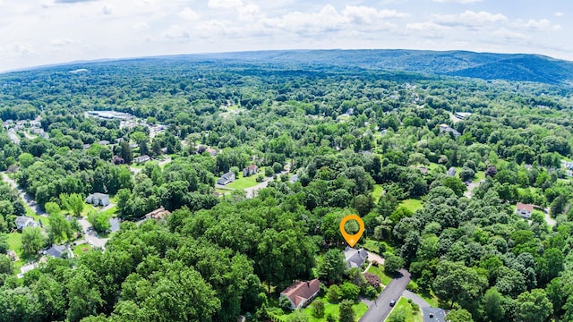 11 Hillside Ct, Suffern, NY 10901 - photo 42