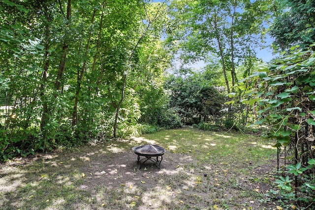 14 Washington Ave, Port Jervis, NY 12771 - view of yard with a fire pit