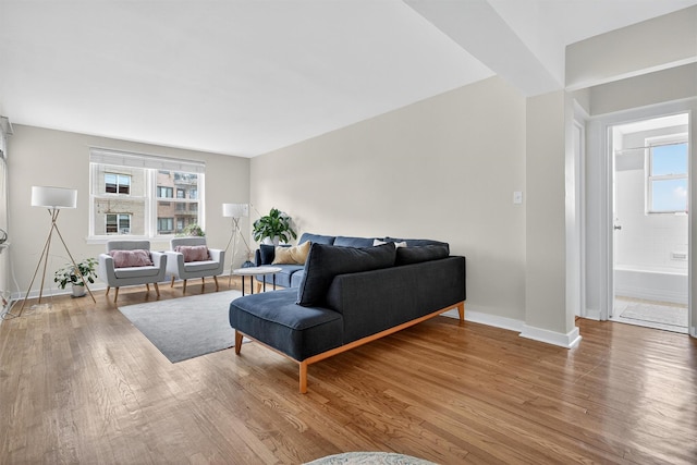 4295 Webster Ave Unit 5J, Bronx, NY 10470 - living room featuring wood finished floors and plenty of natural light