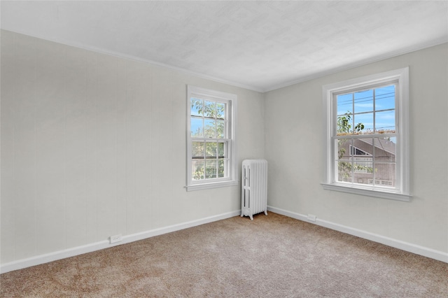 10 Valentine St, Glen Cove, NY 11542 - photo 10