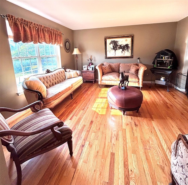 1002 Forest Gln, New Windsor, NY 12553 - living area with light wood-type flooring