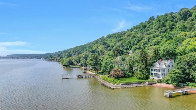 165 River Rd, Nyack, NY 10960 - water view featuring a heavily wooded area and a boat dock