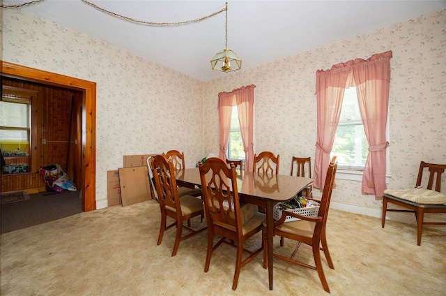13 Mulford Ave, Staatsburg, NY 12580 - photo 5