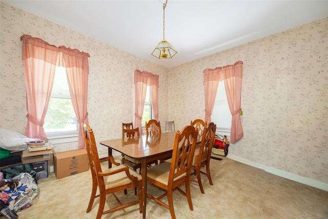 13 Mulford Ave, Staatsburg, NY 12580 - photo 6
