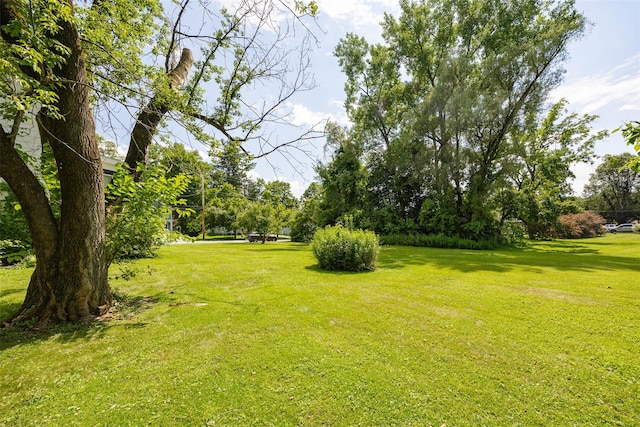 13 Mulford Ave, Staatsburg, NY 12580 - photo 25