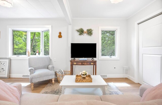 164 Maple Rd, Wading River, NY 11792 - living area with healthy amount of natural light, light wood-type flooring, and ornamental molding