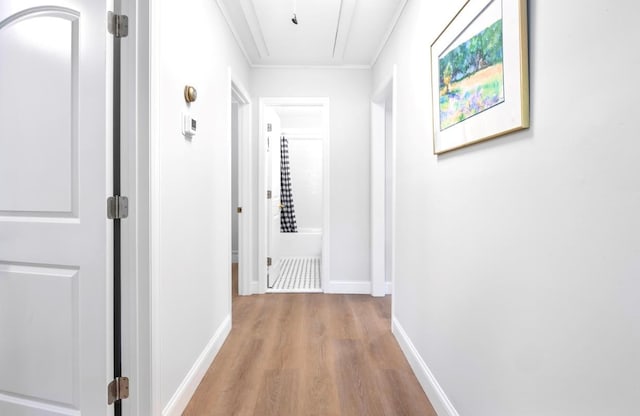 164 Maple Rd, Wading River, NY 11792 - hallway with attic access, wood finished floors, and ornamental molding