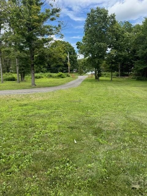 2117 Rte 82, Lagrangeville, NY 12540 - view of community with a yard