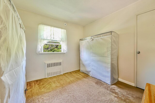 652 Shady St, Hempstead, NY 11550 - photo 12