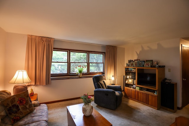 21 Edgebrook Ln, Airmont, NY 10952 - view of carpeted living area