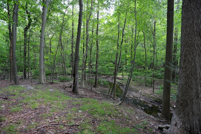 21 Edgebrook Ln, Airmont, NY 10952 - view of woods