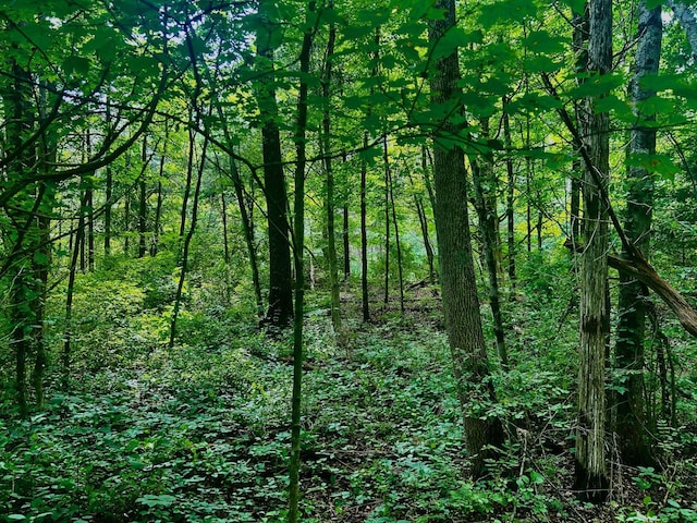 980 N Quaker Ln, Hyde Park, NY 12580 - photo 5