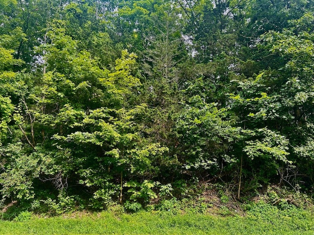 980 N Quaker Ln, Hyde Park, NY 12580 - photo 1