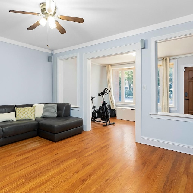 25-57 Mcintosh St, East Elmhurst, NY 11369 - living area with light wood-type flooring, ceiling fan, and ornamental molding