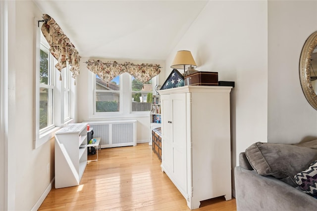 111 Little E Neck Rd, Babylon, NY 11702 - interior space with healthy amount of natural light, light wood finished floors, radiator, and vaulted ceiling